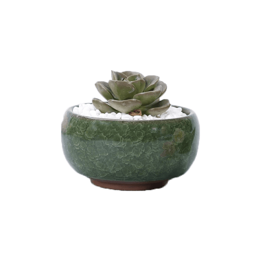 Dark Green Bowl Glazed Cracked Pattern Ceramic Succulent Planter Pot