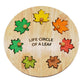 Circle Of Life Leaf Puzzle