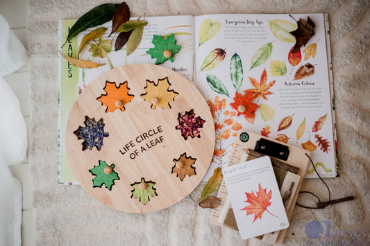 Circle Of Life Leaf Puzzle