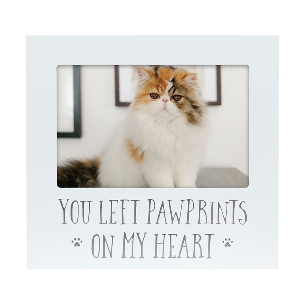 You Left Pawprints On My Heart Dog Memorial Frame